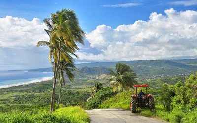 Shows tractor on a country road and seascape in Barbados